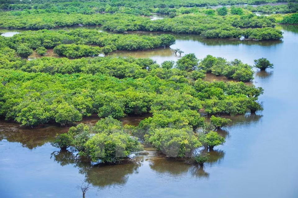 It is the first wetland in Southeast Asia to take part in the Ramsar Convention (Photo: VNA)