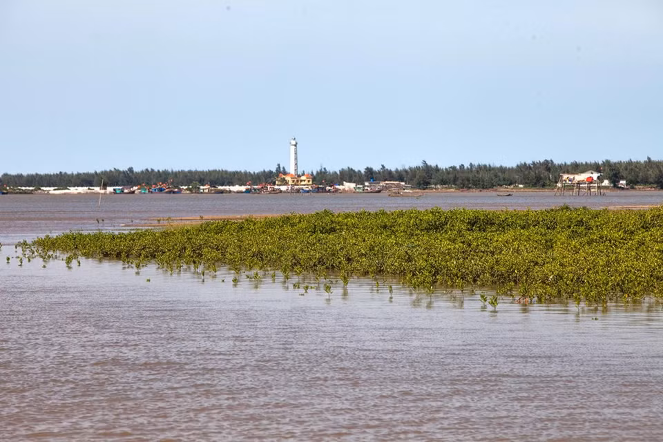 Xuan Thuy National Park boasts the harmony of the nature and the human being (Photo: VNA)
