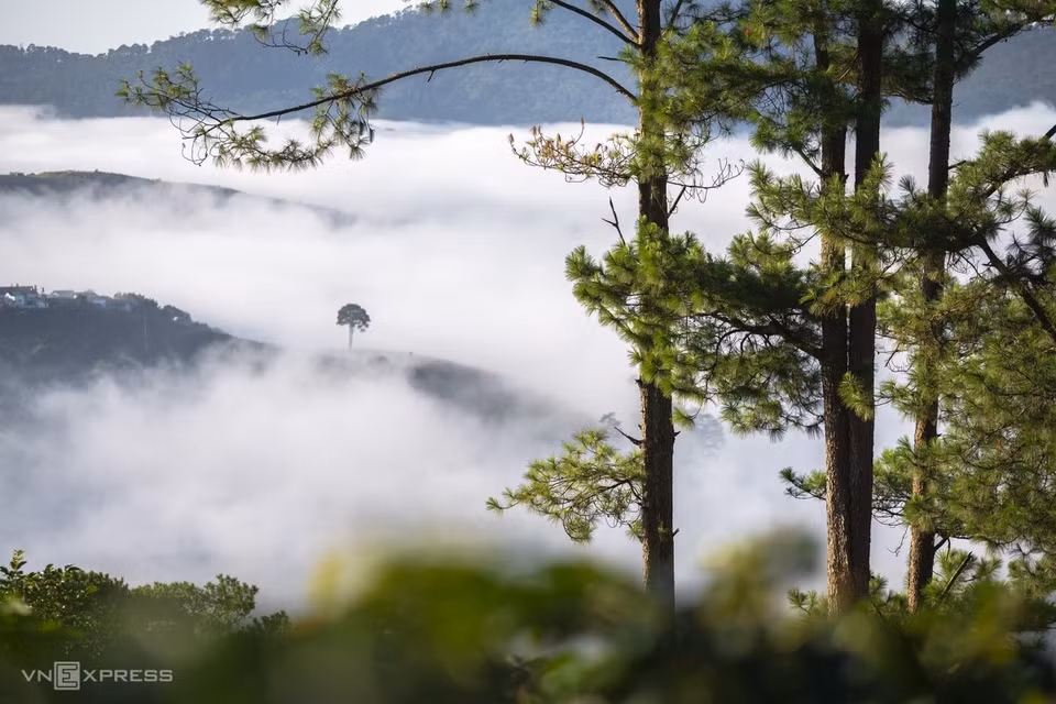 White clouds float over pine hills in Da Sar Commune of Lac Duong District, about 20 kilometers from Da Lat.Da Lat was once a summer hideout for French officials during the colonial time who built villas in the hills to escape the heat and humidity of the lowlands.(Photo: vnexpress.net)