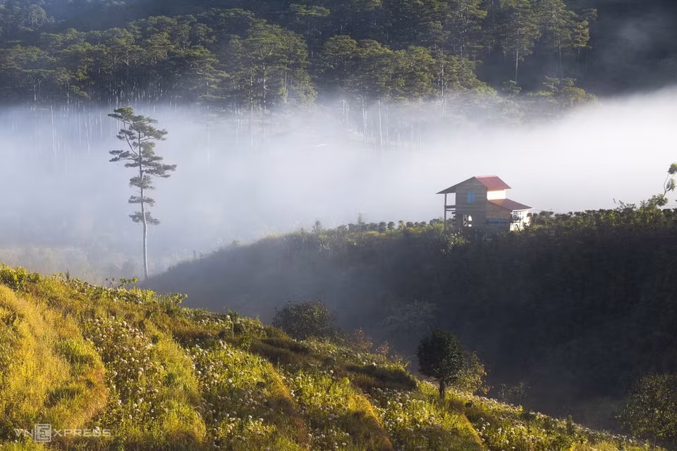 A house covered in thick fog stands alone amid the hills in Da Nhim Commune of Lac Duong District. (Photo: vnexpress.net)