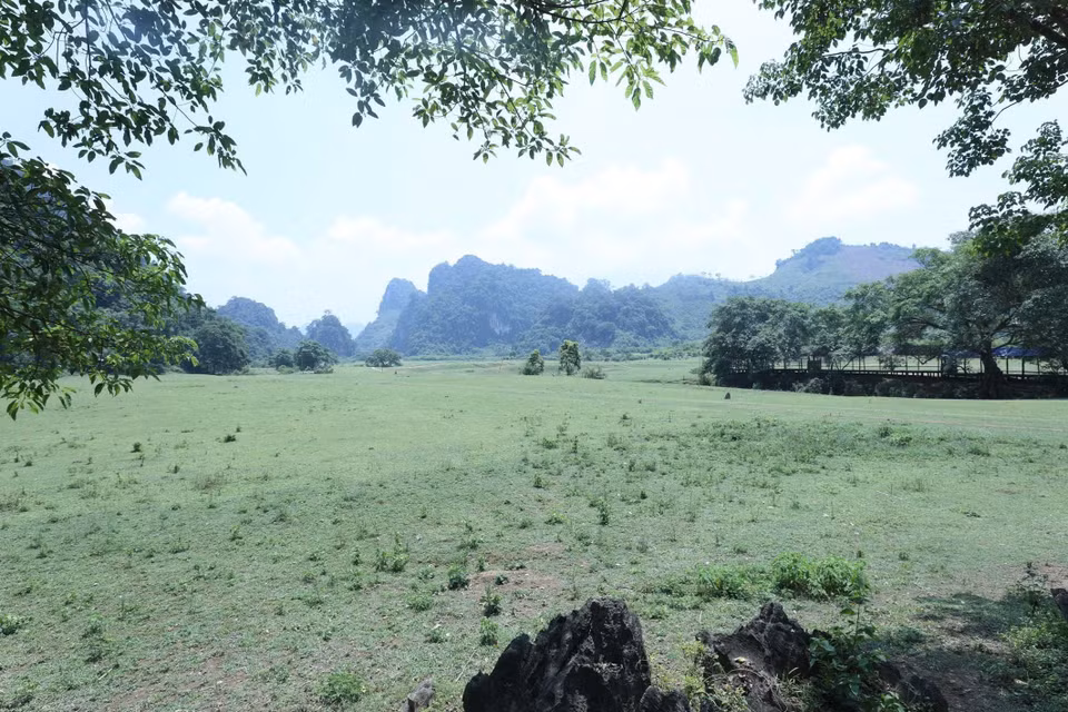 Located some 125 kilometres from Hanoi, Dong Lam plain boasts a tranquil beauty in an open expanse. (Photo: VNA)