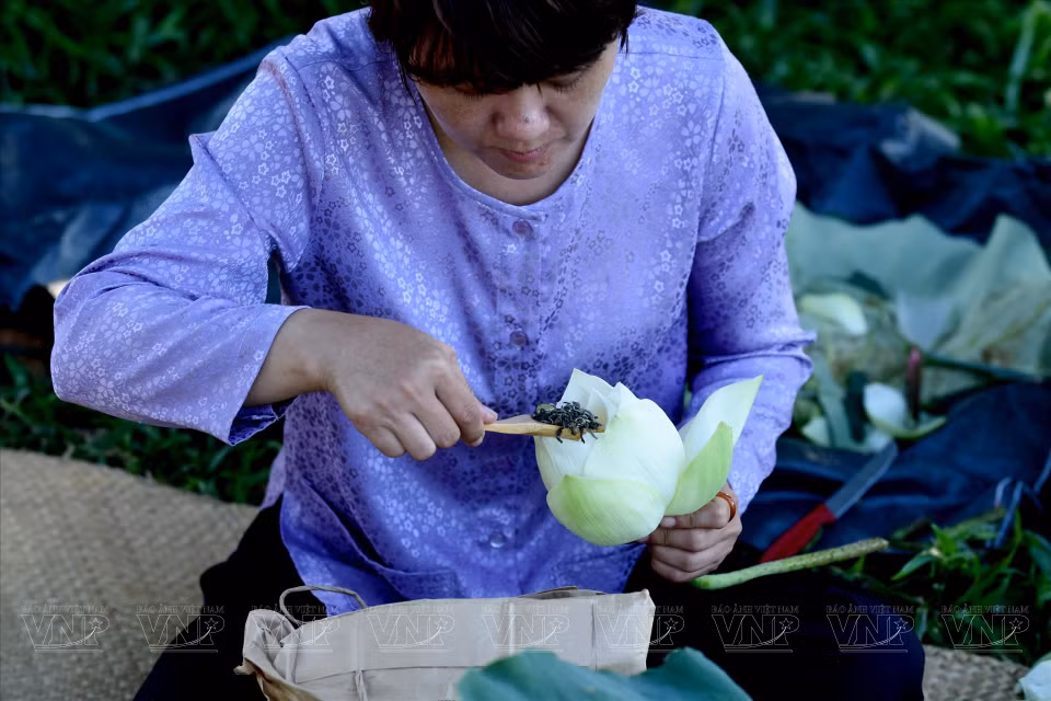 Gastronomes in Hue aromatise green tea in lotus. Tea with a lotus aroma was a popular drink among royalty. (Photo: VNP