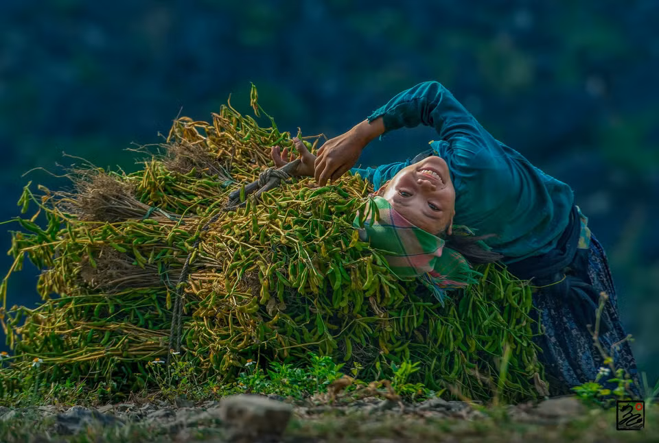 'Soybean here' work by Tran Cao Bao Long (Photo: organizer)