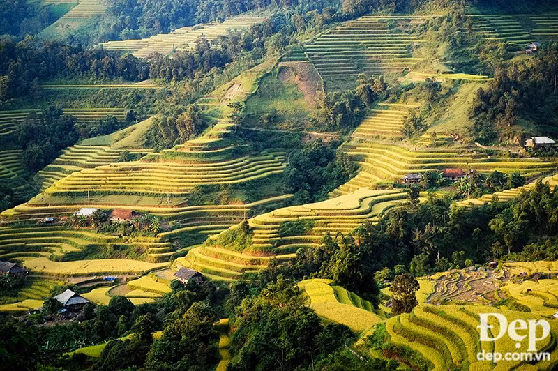 Picturesque terraced fields in Hoang Su Phi (Source: dep.com.vn/VNA)
