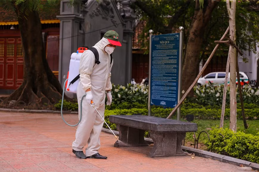 Surrounding areas of relic sites are also sterilised in a bid to stop the disease from spreading (Photo: Minh Son/Vietnam+)