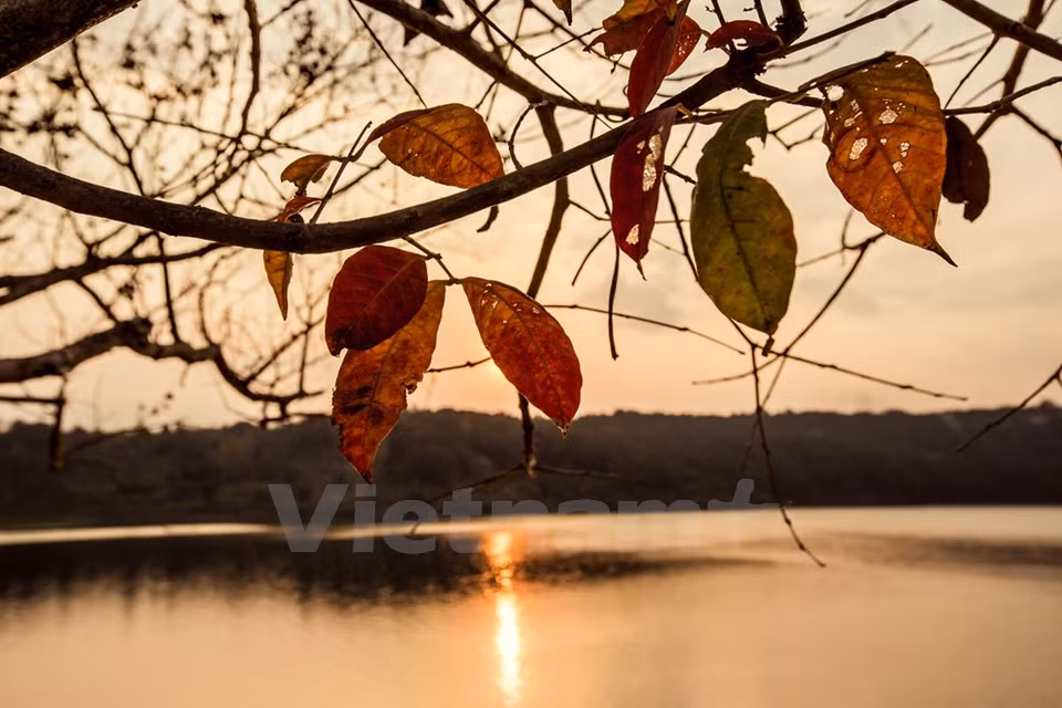 As a result, the lake's untouched beauty remains intact (Photo: VNA)