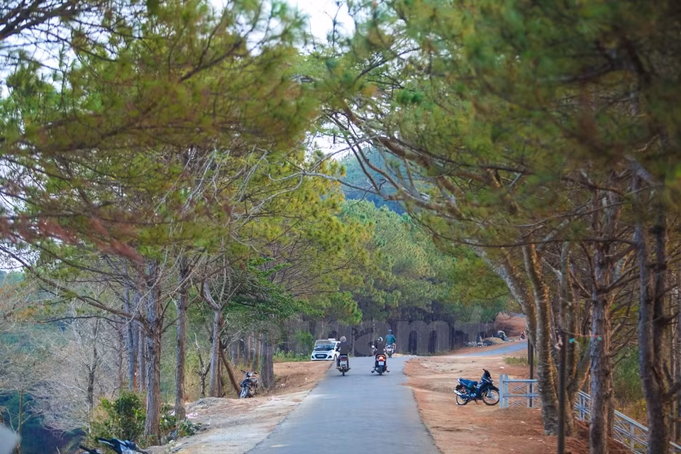 The lake is described as a romantic destination for those who come to the Central Highlands for the first time (Photo: VNA)