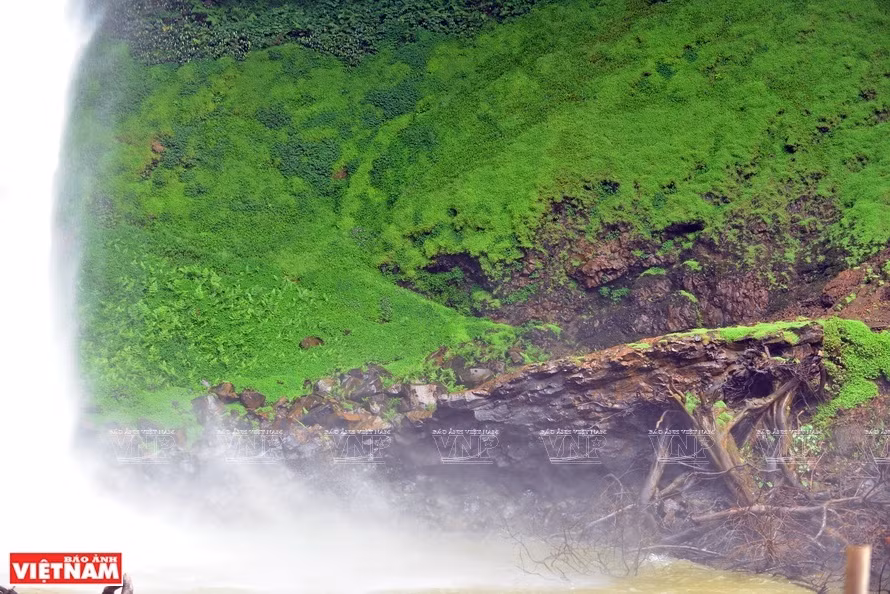 The waterfall cascades down from a 30-metre-tall cliff. At the foot of the waterfall is an arch hundreds of meters wide which was formed from hundreds of thousands of moss-covered basalt pillars layered in a beehive shape. (Photo: VNP/VNA)