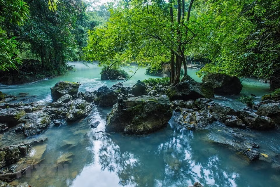 It is also well known for rich biodiversity and many indigenous fauna and flora species (Source: VNA)