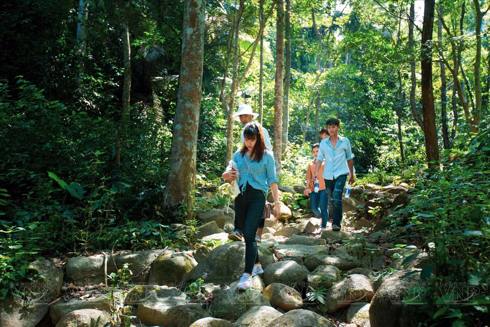 Chua Chan Mountain is home to abundant vegetation and a wide variety of perennial trees, making it an ideal destination for nature lovers looking to explore the wonders of the natural world. (Photo: VNP/VNA)