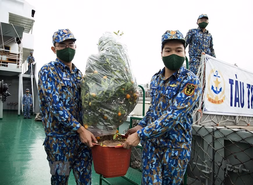 Kumquat trees are to be sent to the DK1 platforms. (Photo: VNA)