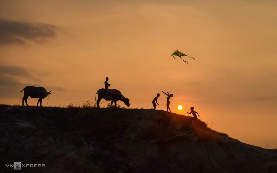 Buffalo herders fly a kite at dusk. (Photo: Vnexpress.net)