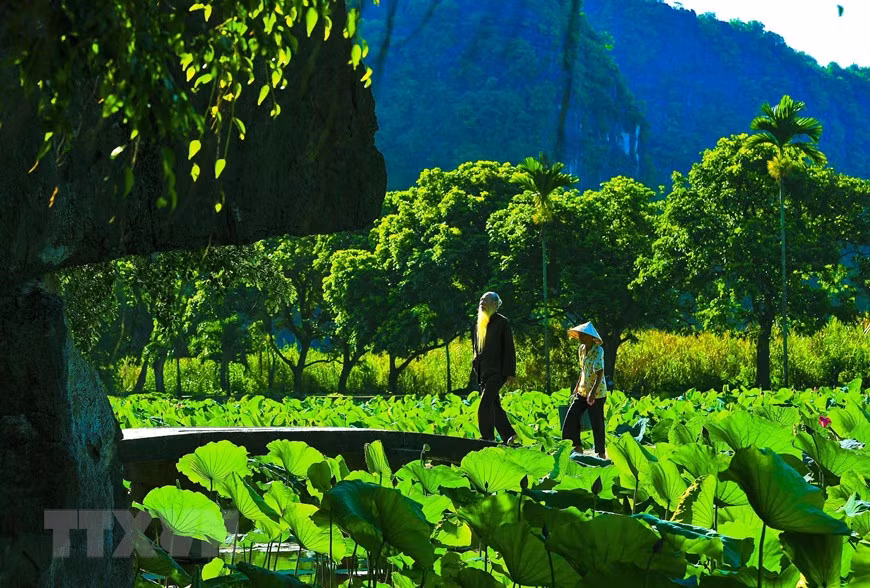 Many foreign tourists visit Bich Dong these days to capture the beauty of the ancient pagoda amid poetic lotus ponds (Photo: VNA)