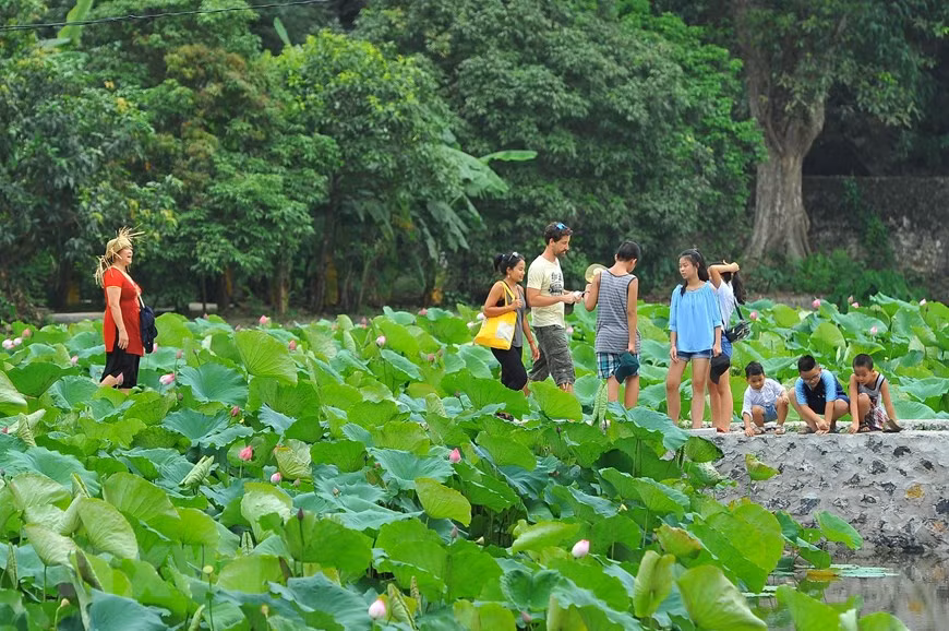 Visitors can comfortably enjoy the beautiful scenery of green mountains, blue water and pink lotuses (Photo: VNA)