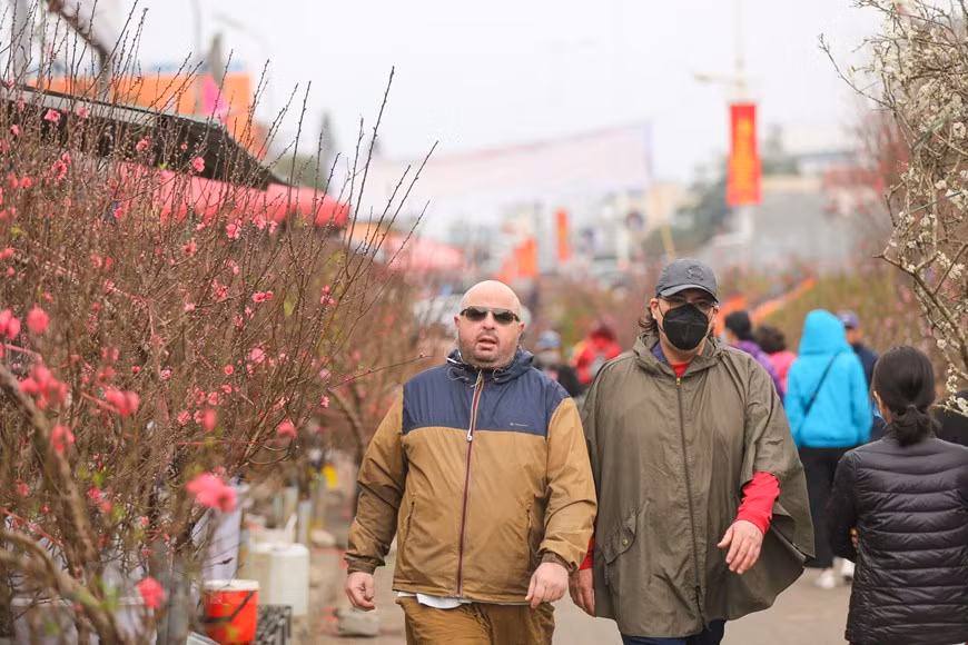 Despite impacts caused by COVID-19, Quang An Flower Market is less crowded than usual, but visitors still feel the hustle and bustle. Tet is the most important festival of the year for Vietnamese people and a time for family reunions. In Vietnam, it’s common to see Kumquat trees decorating houses everywhere during Tet and the trees are seen as magical things as people believe they bring good fortune, long life and strengthen family ties. Most Hanoians live in small houses and small streets, they want to bring a natural and living space to their rooms so they can enjoy the greenery at home. (Photo: VietnamPlus) 