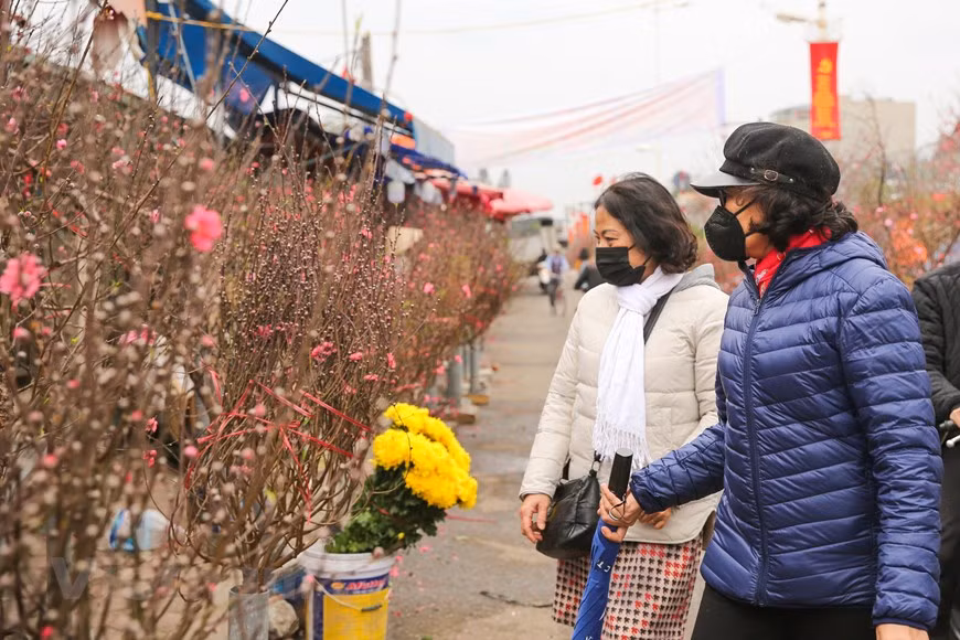 Flower markets are popular destinations for Hanoi people ahead of the Tet (Lunar New Year) Festival. They come to enjoy the atmosphere and buy Tet flowers and bonsai trees, particularly peach blossoms and kumquat. Quang An flower market is a well-known destination. In the old days, farmers from the flower-growing areas of Ngoc Ha, Tu Lien, Nghi Tam, Nhat Tan and Quang Ba wards brought their flowers and plants to sell in the market on the occasion of Tet. Nowadays, Tet flowers are sold across Hanoi. However, many people in the capital still keep the habit of going to traditional markets to buy flowers and no less importantly, to enjoy the specific atmosphere there. (Photo:VietnamPlus)