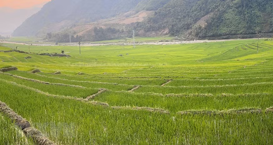 Terraced rice fields create a mosaic picture on the ground (Photo: VNA)