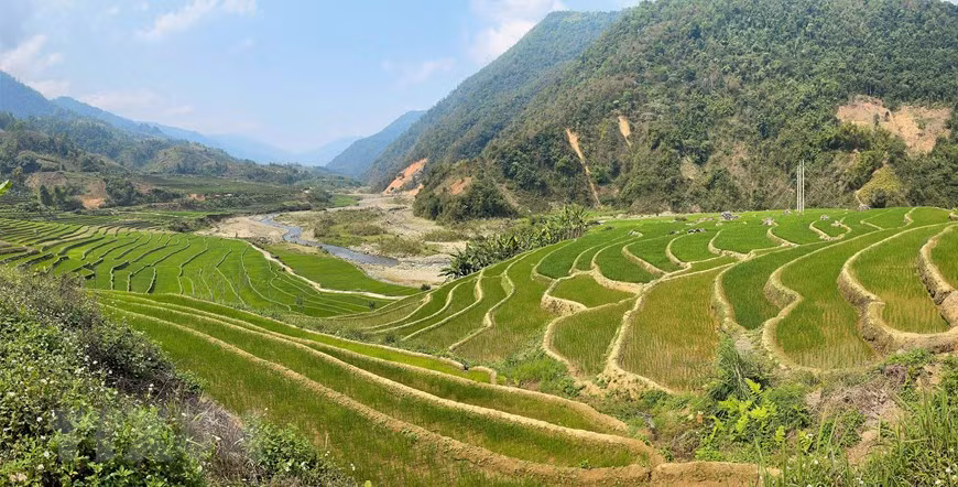Terraced rice fields in mountainous Muong Te border district of Lai Chau province (Photo: VNA)