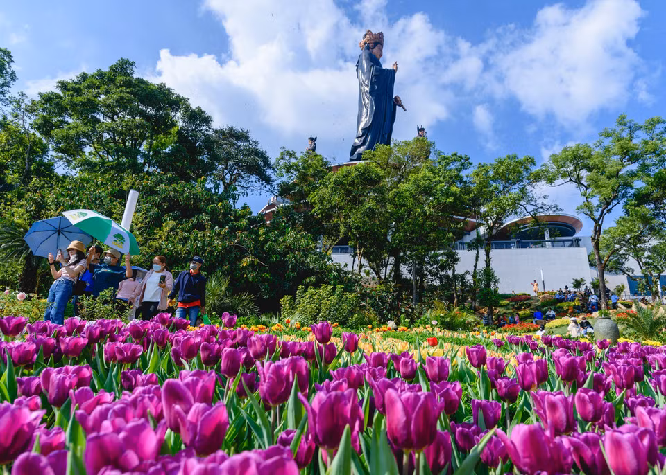 Tulips appear for the first time on the top of Ba Den Mountain, adding to visitors’ experience. (Photo: VNA) 