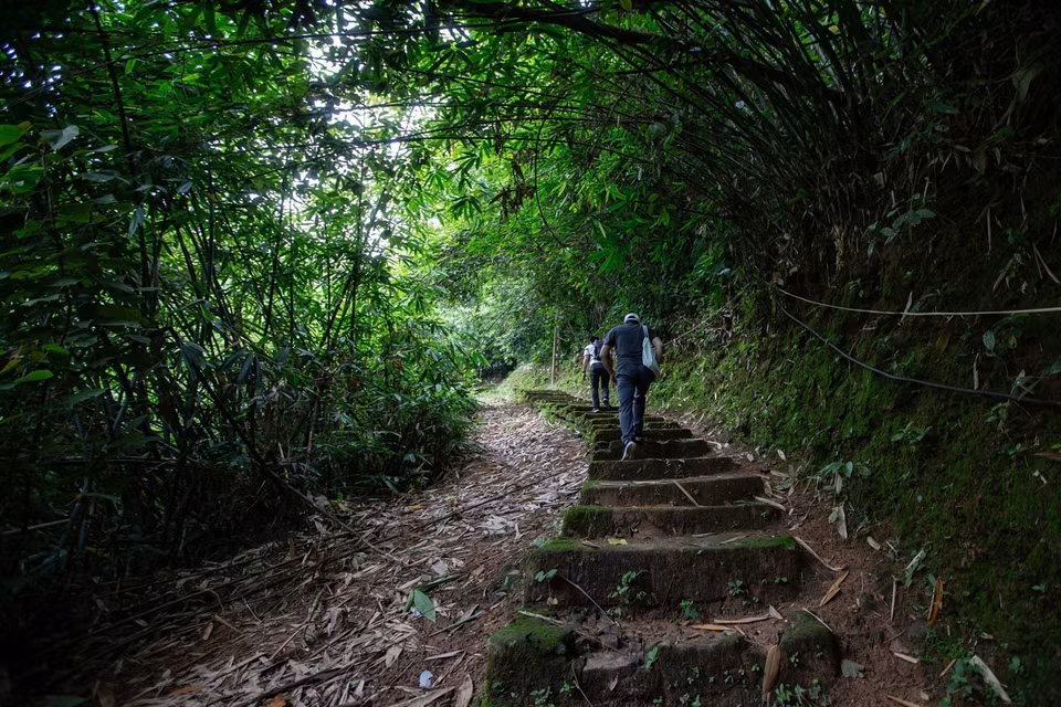 The green entrance to Tien Phi Cave. (Photo: VNA)