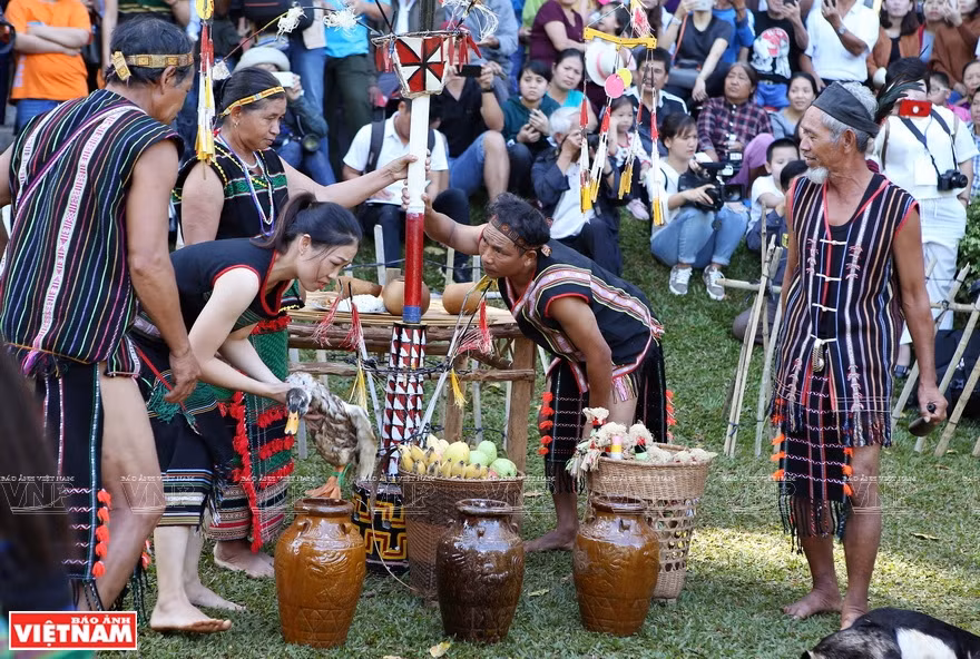  Traditional wine and offerings are prepared for the ritual (Photo: VNA)