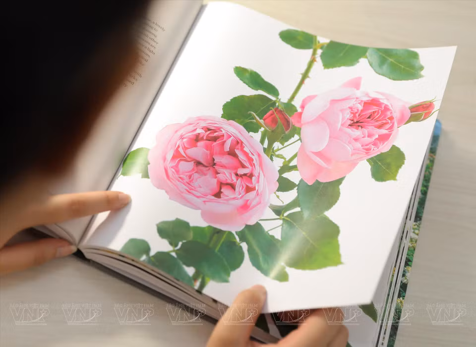 Reading books and artistic references from home and abroad is her cup of tea. (Photo: VNP/VNA)