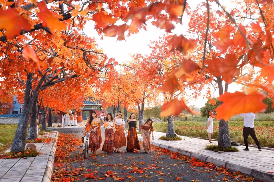However, the artists who create the garden have tried to bring the most real space possible (Photo: The Dai/Vietnam+)