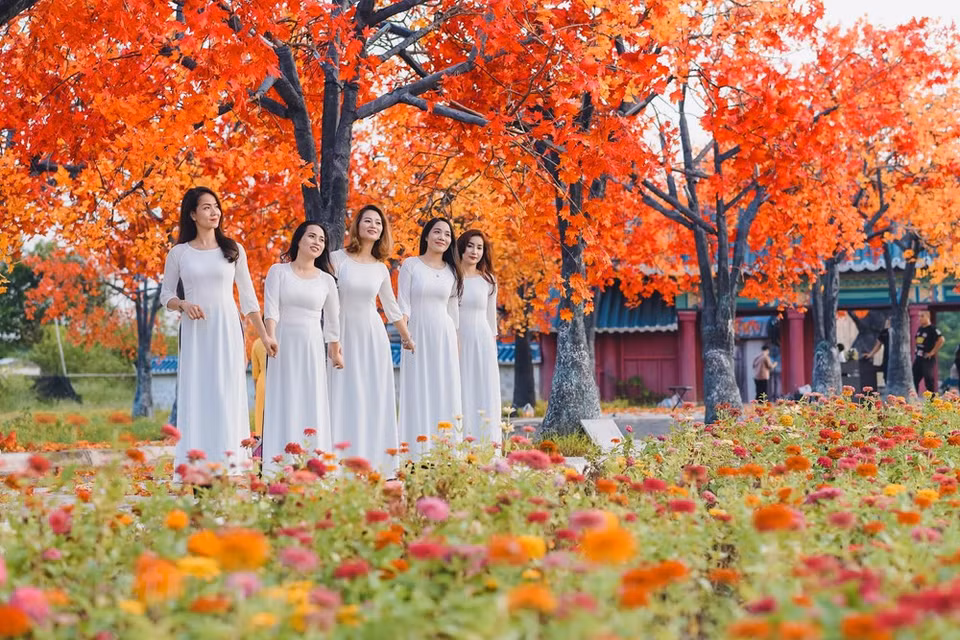 (Photo: The Dai/Vietnam+)