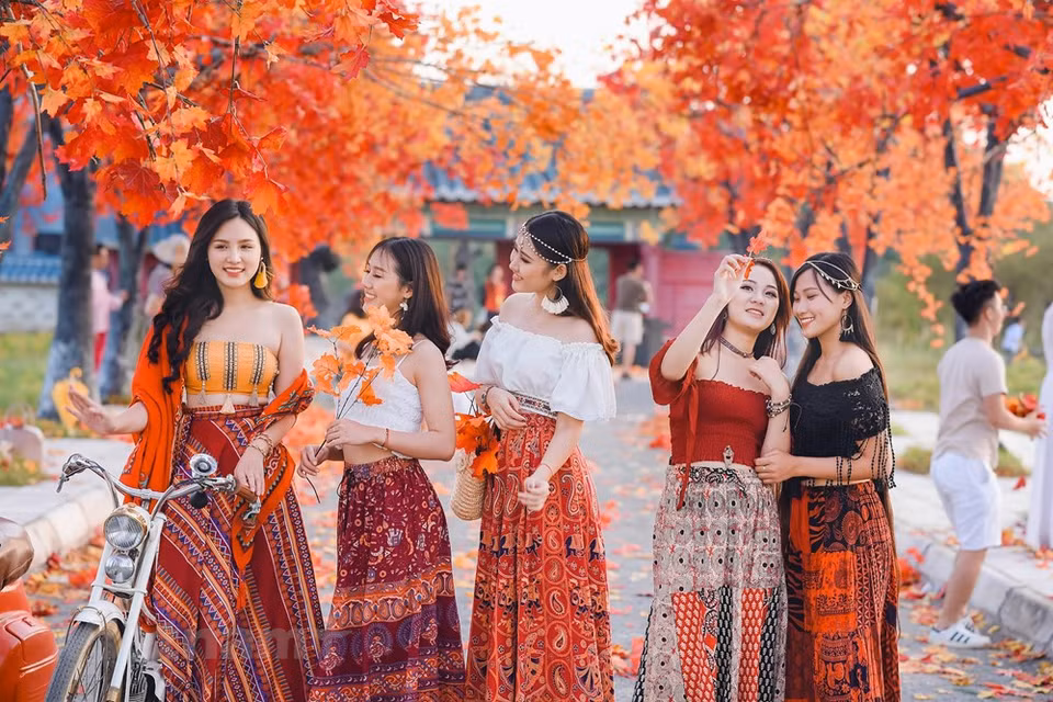 This is considered an indispensable destination in Hanoi in this fall (Photo: The Dai/Vietnam+) 