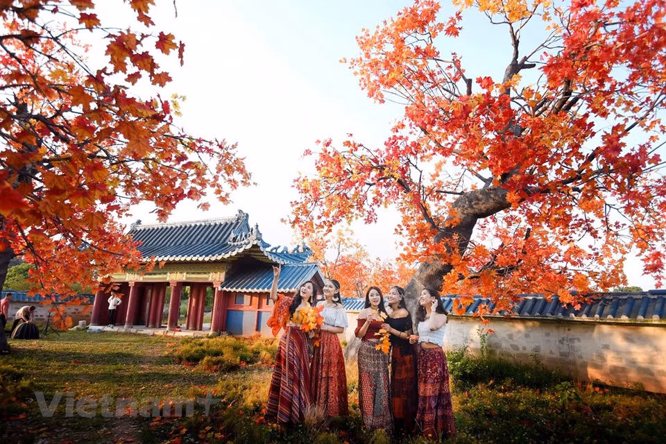However, the artists who create the garden have tried to bring the most real space possible (Photo: The Dai/Vietnam+)