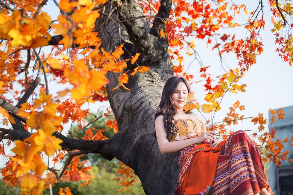 (Photo: The Dai/Vietnam+)
