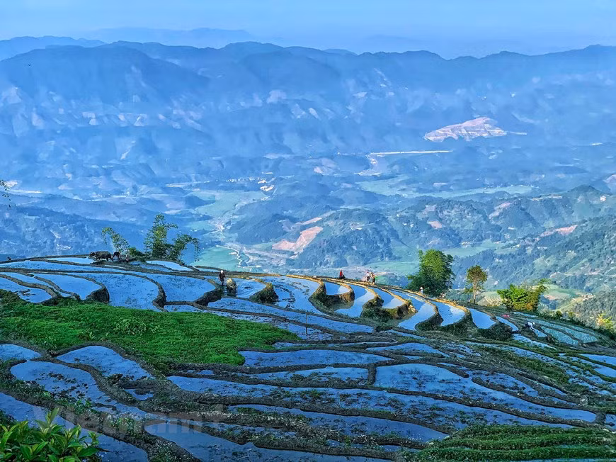During the ‘pouring-water season’ in May, tourists can witness the transplanting of seedlings and seeing the whole area turn green after. (Photo: Vietnam+)
