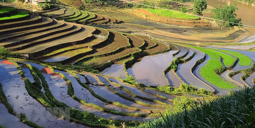 Terraced rice fields in Bat Xat district in the northern mountainous province of Lao Cai. (Photo: Vietnam+)