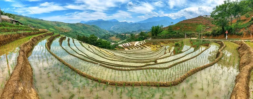 Visitors to Y Ty will be treated to the breathtaking beauty of terraced rice fields stretching over the mountains there during this season when local residents transplant rice seedlings. (Photo: Vietnam+)