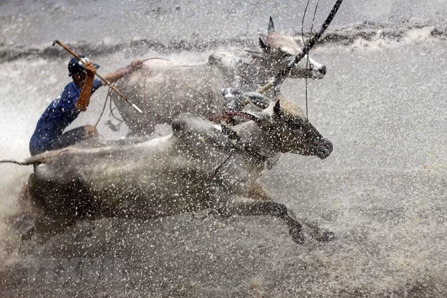 During Bay Nui Ox Racing Festival, Khmer people pay tribute to their ancestors and take part in activities with traditional songs and dances after a year of hard work. (Photo: VNA)
