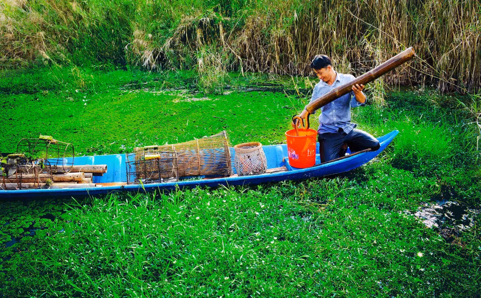 Visitors to U Minh Ha forest can experience the local practice of catching eels with bamboo traps. (Photo: VNA)