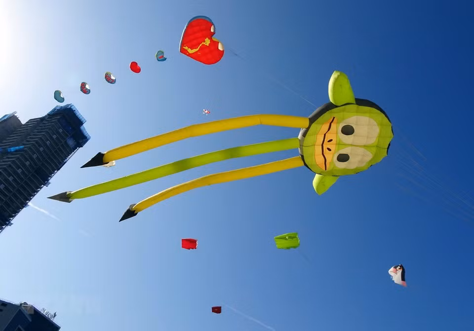 The kites soar up in the sky (Photo: VNA)