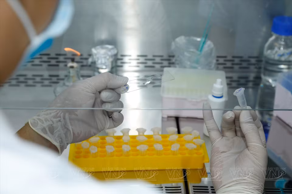 The Japanese provided 10.9 million USD in grants to Vietnam to invest in equipment and facilities for the RETAQ Centre’s laboratory, which offers services in food safety testing, consulting, and certification. (Photo: VNP/VNA)