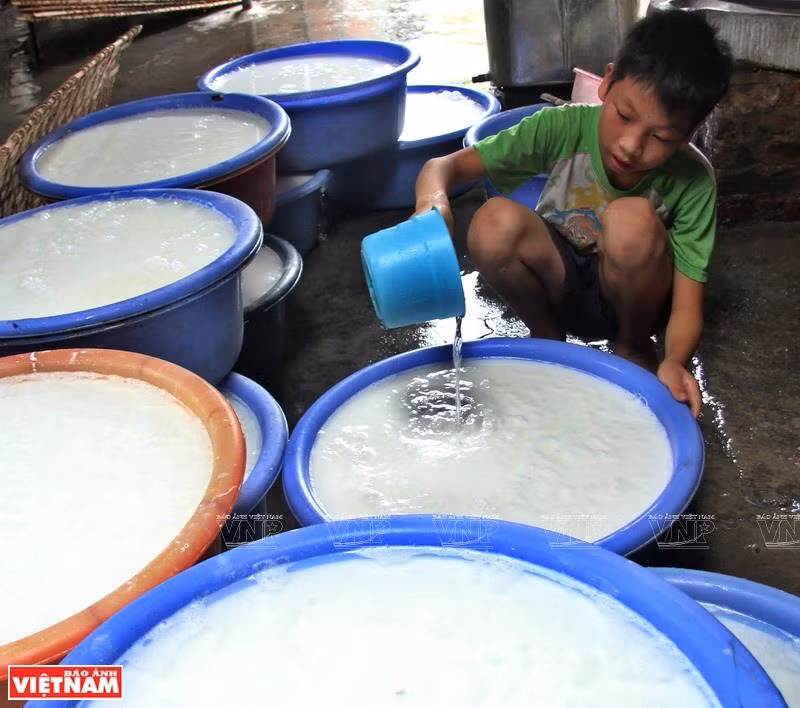 The tradition of making rice noodle in Lo Cuong village dates back to the 1960s and grew strong in the 1990s (Photo: VNA) 