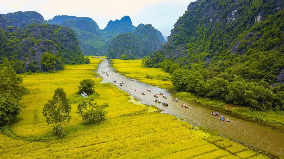 The golden Ngo Dong river welcome domestic and foreign tourists to the Tam Coc – Bich Dong tourism site. (Photo: VNA)