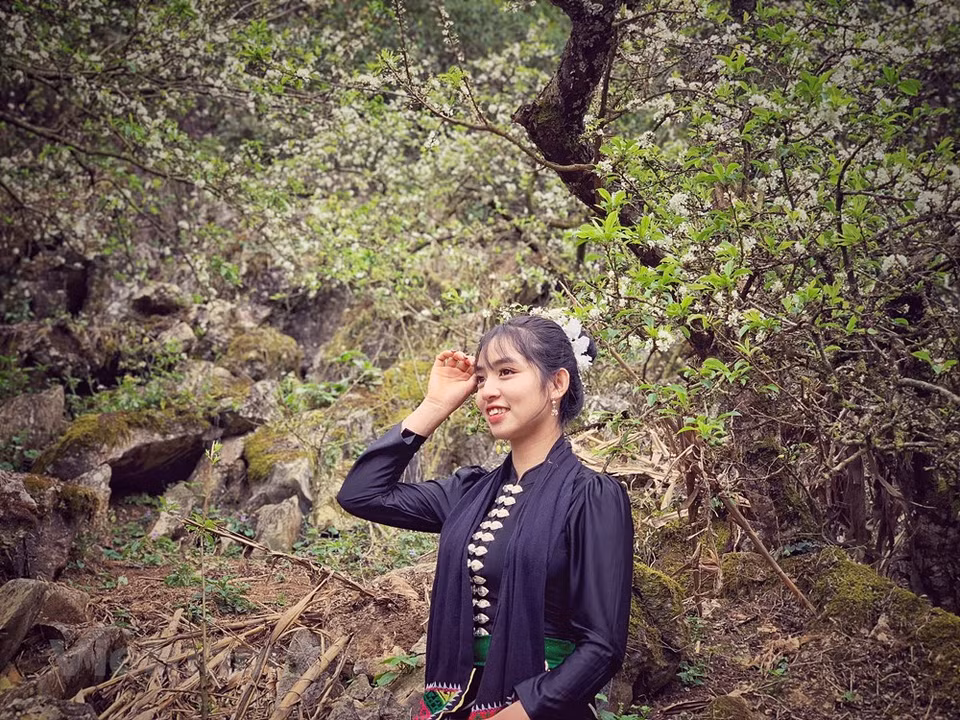 With 54% Thai ethnic people, Thai language is the most common language in Son La Province. Thai language belongs to Thai - Tay language. The second popular language in the province is Kinh language (official Vietnamese language) because Kinh group is the second largest community in Son La. In addition to Thai and Kinh language, Mon-Khome and Viet - Muong are widely used by other ethnic groups. Moc Chau Plateau is in Moc Chau District, about 200km northwest of Hanoi. When spring comes, the whole Moc Chau is bright with colorful blooming white pumpkin and apricot flowers. Warm sunlight is spreading across the steppe, and then sometimes gives way for light cold drizzles. (Photo: Xuan Mai/Vietnamplus)