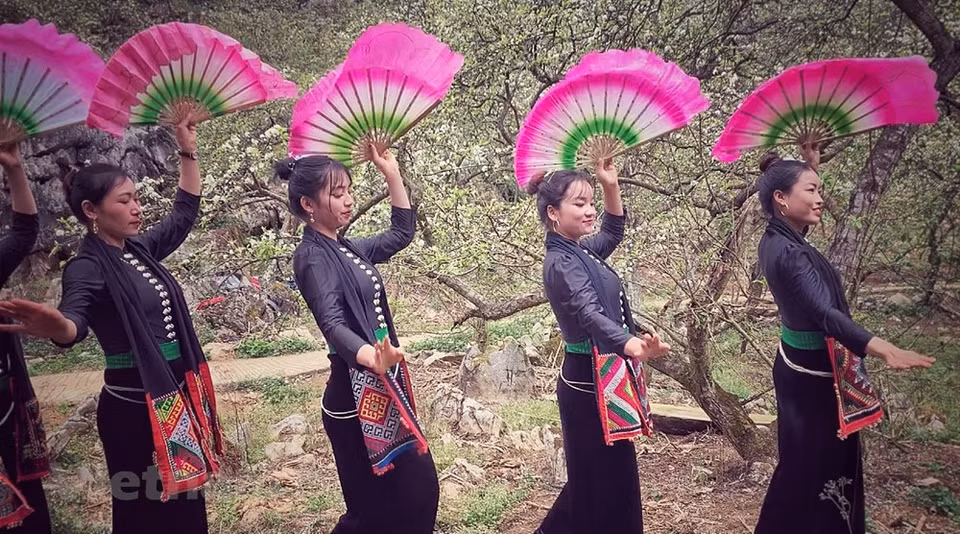 Thai ethnic girls perform Xoe dance under blossoming plum trees. The plum flowers often bloom since January to early February. For people in Moc Chau district, the plum tree is a gift endowed by nature because this variety of tree grows very well on soil in the highlands and does not need to be tended carefully. Moreover, it brings high economic value. Recently, besides the economic value from selling plums, locals in Moc Chau can take more advantage of engaging in community-ecotourism. As reported, the management department of Moc Chau Tourism Area is investing in building a unique tourism program. The tourism model will take travelers to eat, live and harvest plums with the locals. (Photo: Xuan Mai/Vietnamplus)