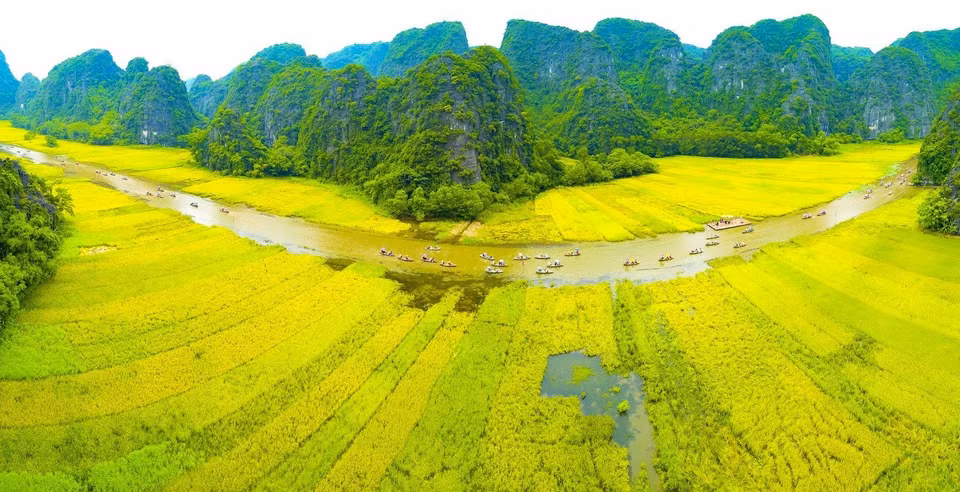 The golden Ngo Dong river welcome domestic and foreign tourists to the Tam Coc – Bich Dong tourism site. (Photo: VNA)