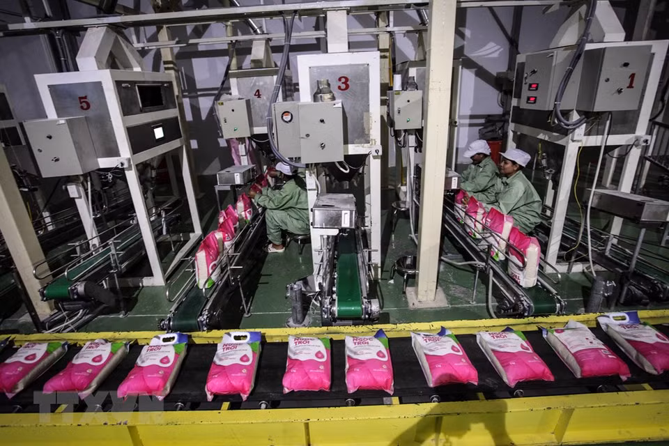 Russia imports rice from Vietnam (Photo: VNA)