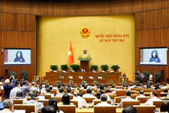Minister of Health Dao Hong Lan presents submissions on three draft laws at the second session of the National Assembly. Photo: VNA