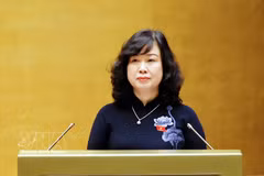 Health Minister Dao Hong Lan presents submissions on draft laws related to healthcare at the ongoing second session of the 16th National Assembly in Hanoi on October 21. Photo: VNA.