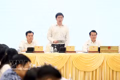 Deputy Minister of Science and Technology Bui Hoang Phuong speaks at the Government's June regular press conference on July 4, 2026. Photo: VNA