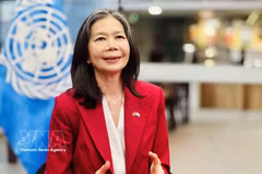 N Resident Coordinator in Vietnam Pauline Tamesis. Photo: VNA