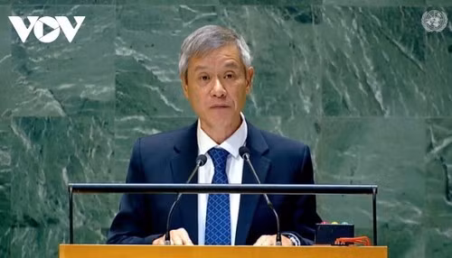 Ambassador Nguyen Minh Vu, Assistant to the Vietnamese Minister of Foreign Affairs, speaks at the discussion. (Photo: VOV)