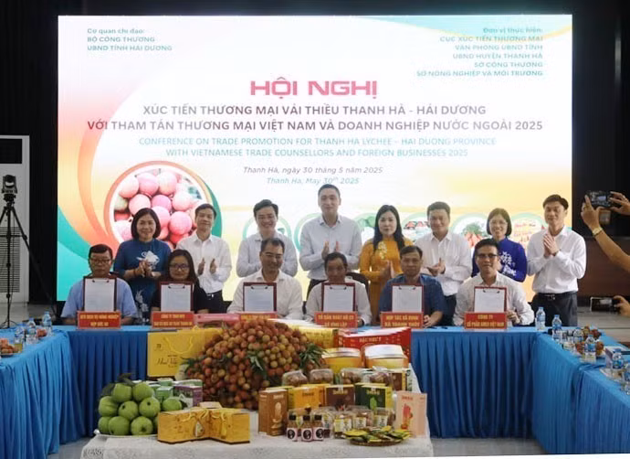 vna-potal-hai-duong-mo-vuon-thu-hoach-xuc-tien-thuong-mai-vai-thieu-thanh-ha-nam-2025-8064240.jpg